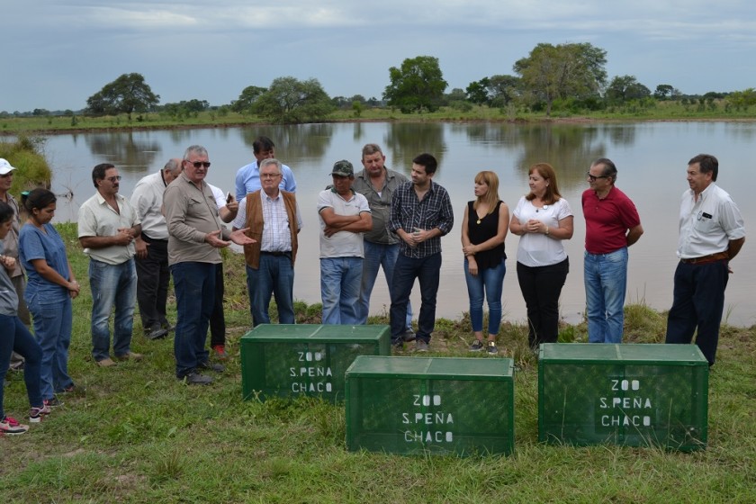 AMBIENTE PARTICIP DE LA LIBERACI N DE FAUNA NATIVA EN LA RESERVA