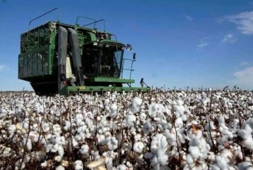 Resistencia será sede de la Reunión Interprovincial del Consejo Federal Agropecuario