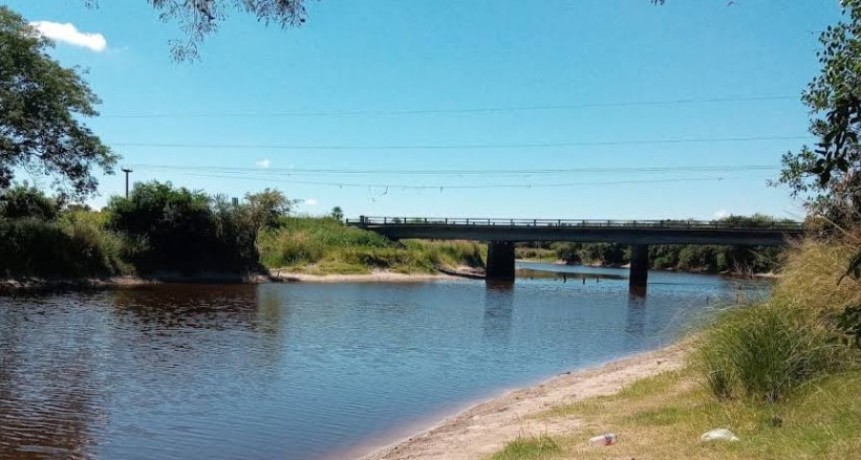 PREOCUPACI&Oacute;N POR LA MORTANDAD DE PECES EN EL RIO SALADO 