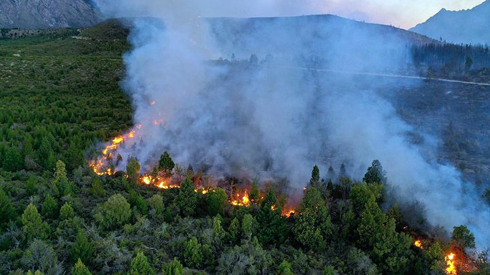 Precisan que son más de 7.000 las hectáreas quemadas e investigan origen del incendio