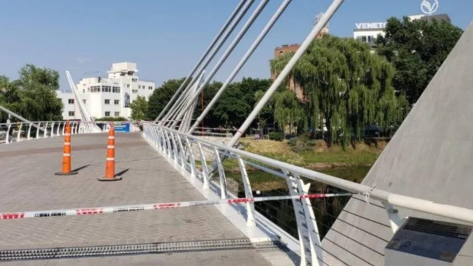 Quiso sacarse una selfie y se cayó desde un puente: está grave