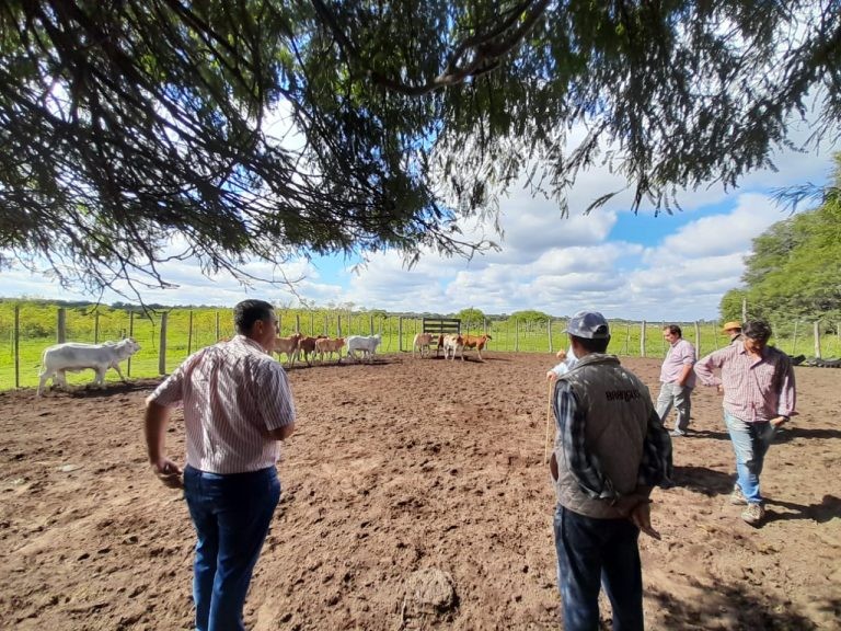 Chaco: Plan Ganadero Provincial triplicó el 2022 la asistencia a productores