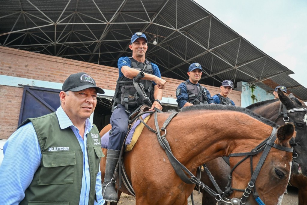 PROTECCIÓN AL CAMPO: ACCIONES Y RESULTADOS EN MATERIA DE SEGURIDAD RURAL DURANTE 2025