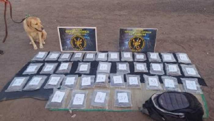 Por primera vez en la región, la Policía del Chaco secuestró más de 19 kilos de hachís