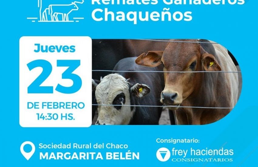 El año de remates ganaderos comenzará el jueves 23 de febrero en Margarita Belén