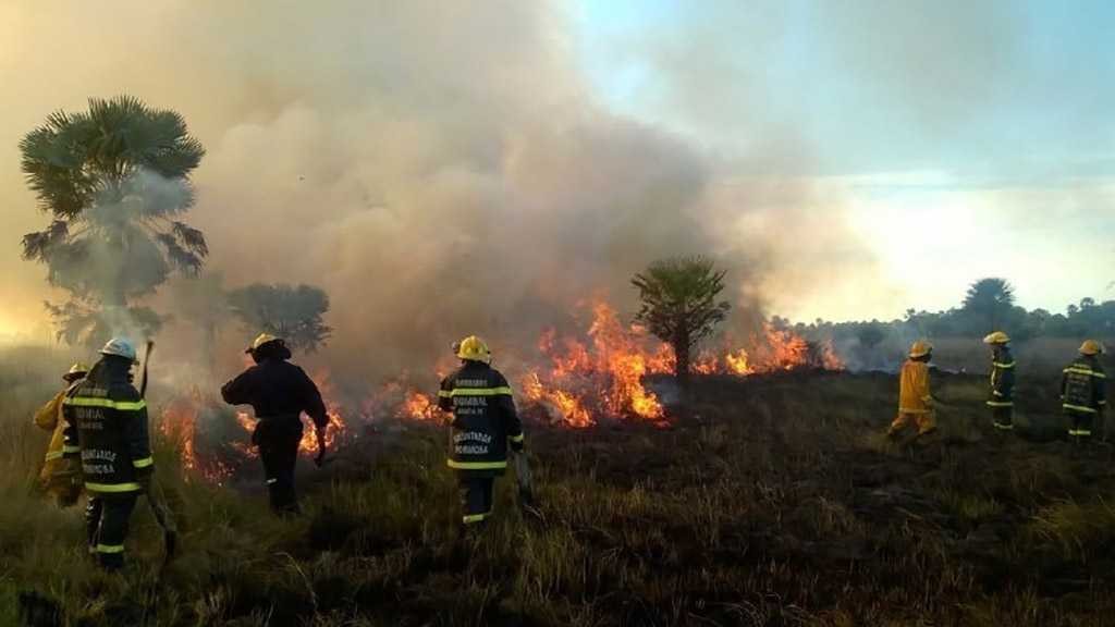 Corrientes es una de las seis provincias registran focos activos de incendios forestales
