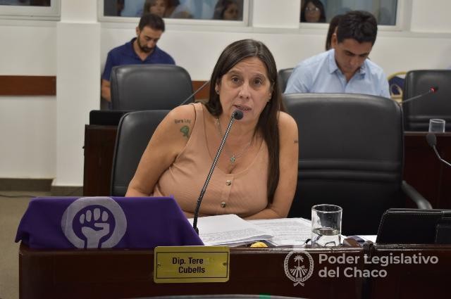 Cubells destacó la adhesión de Chaco a la Ley Brisa
