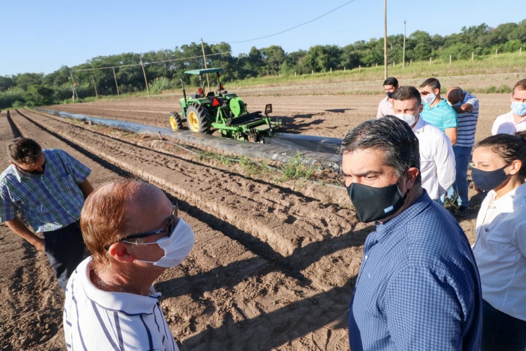 Capitanich y Danone ampliaron el acuerdo de comercialización con la producción de frutilla chaqueña