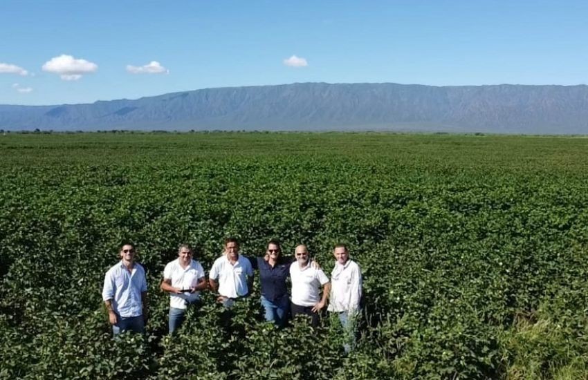  Chaco: Producción y el Inase completaron relevamiento de lotes del programa semilleros de algodón  