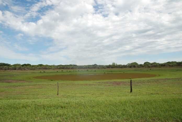 La sequía provocó que el 87% de las lagunas de Corrientes se sequen