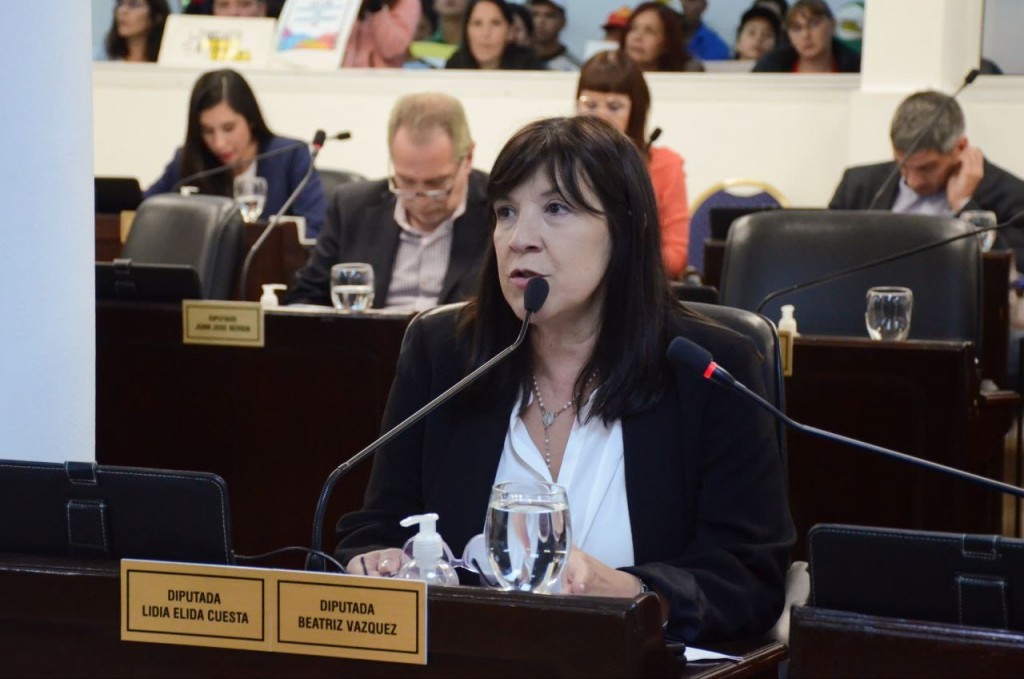 Cuesta: “Que cada persona que necesite ayuda con las adicciones tenga un Estado presente” 
