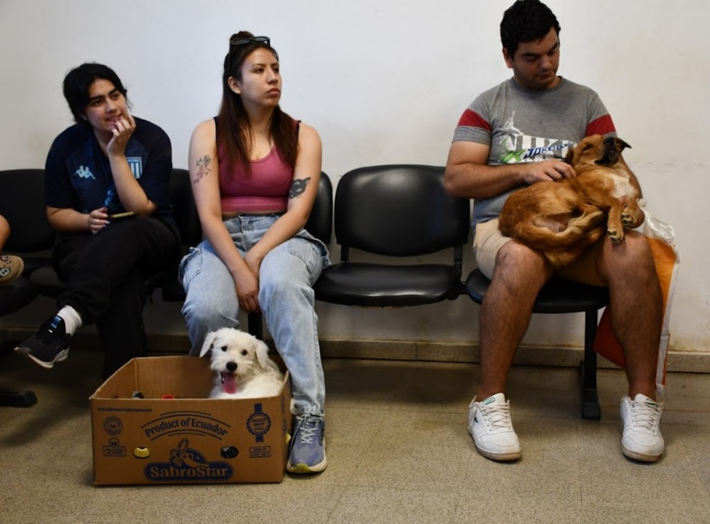 EL MUNICIPIO ANUNCI&Oacute; UN NUEVO SISTEMA DE TURNOS PARA CASTRACIONES DE MASCOTAS EN EL CENTRO VETERINARIO MUNICIPAL