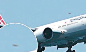 Video asombroso: piloto de avión de línea filmó un OVNI