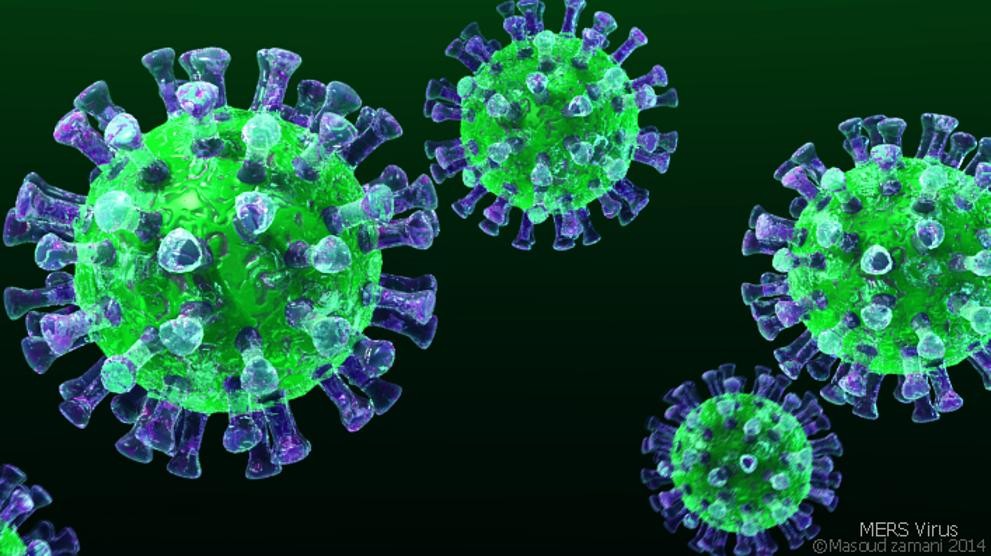 Coronavirus en la Argentina: se confirmaron 263 nuevos contagios y 10 personas murieron en las últimas 24 horas