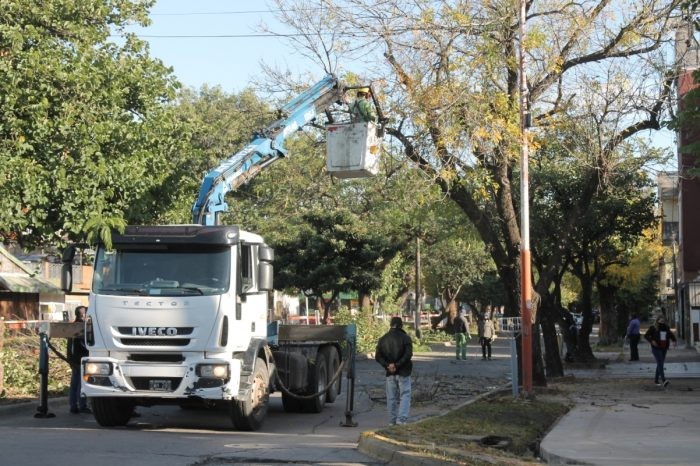 Resistencia: la ciudad de realizó operativo integral de poda de árboles sobre Avenida Rodríguez Peña