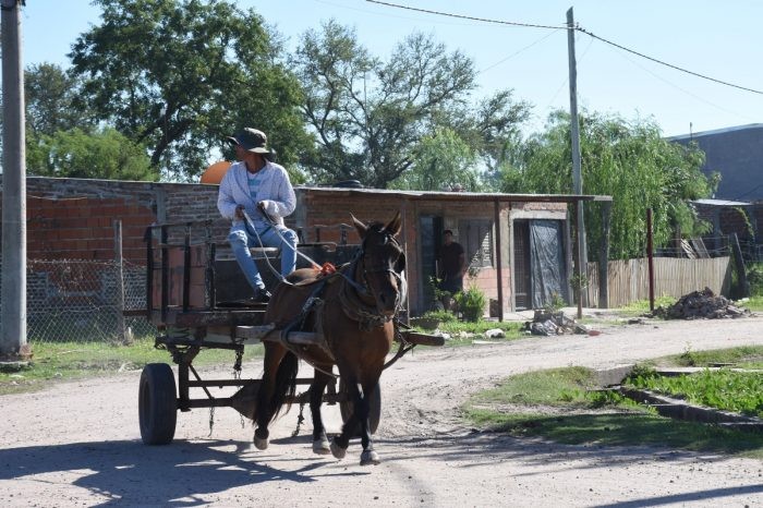 Resistencia: avanza el registro para la sustitución de tracción a sangre