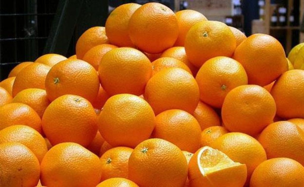 En el inicio de temporada normalizaron el precio de la naranja