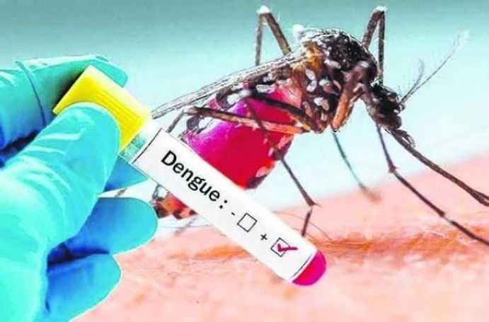 Por quinta semana consecutiva, bajó la cantidad de casos de dengue en el país