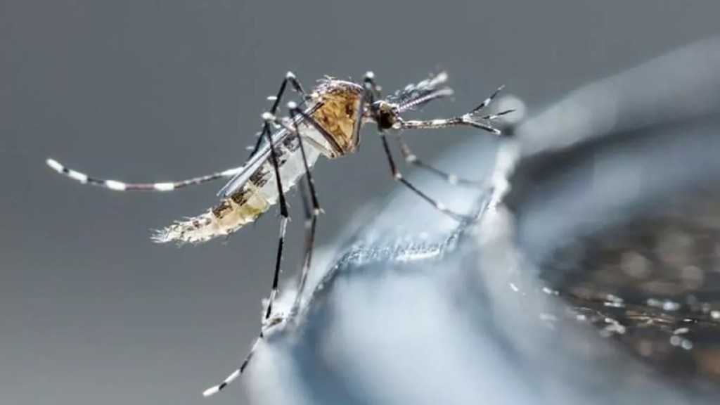 Chaco: Salud Pública brinda el parte epidemiológico de dengue