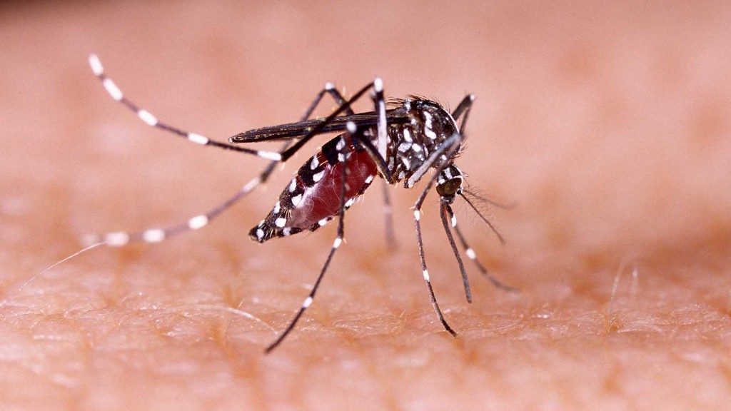 Ascienden a 5.719 casos positivos de dengue en la provincia
