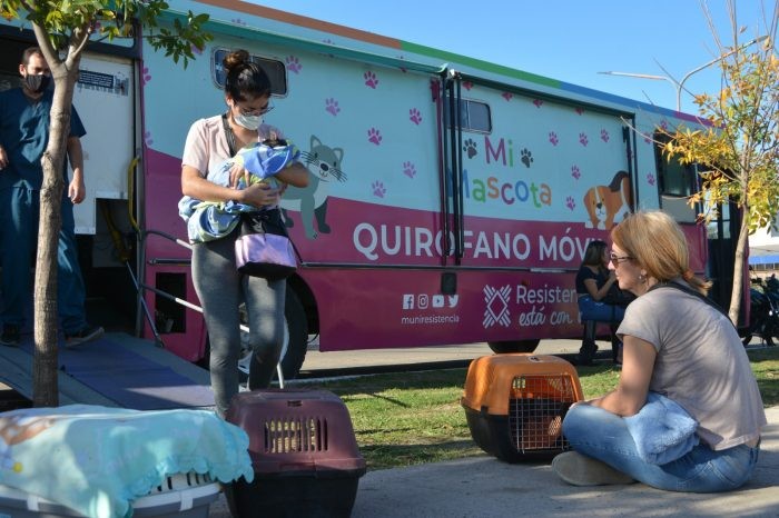 Resistencia lleva esta semana el programa de Castración para Mascotas a los barrios Virgen de Lourdes e Italia