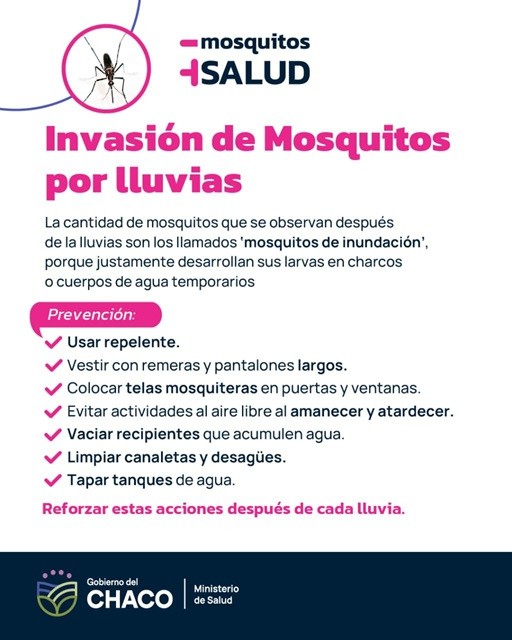 Cuidate de los llamados “Mosquitos de inundación”
