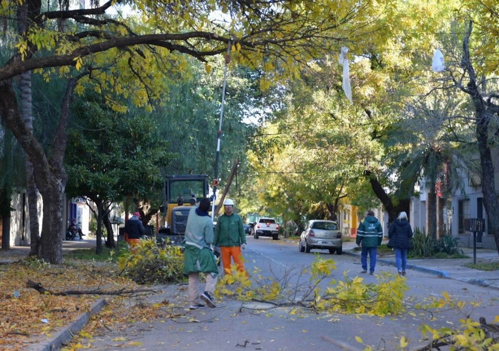 LOS OPERATIVOS INTEGRALES DE PODA CONTROLADA AVANZARON POR CALLE CORRIENTES  