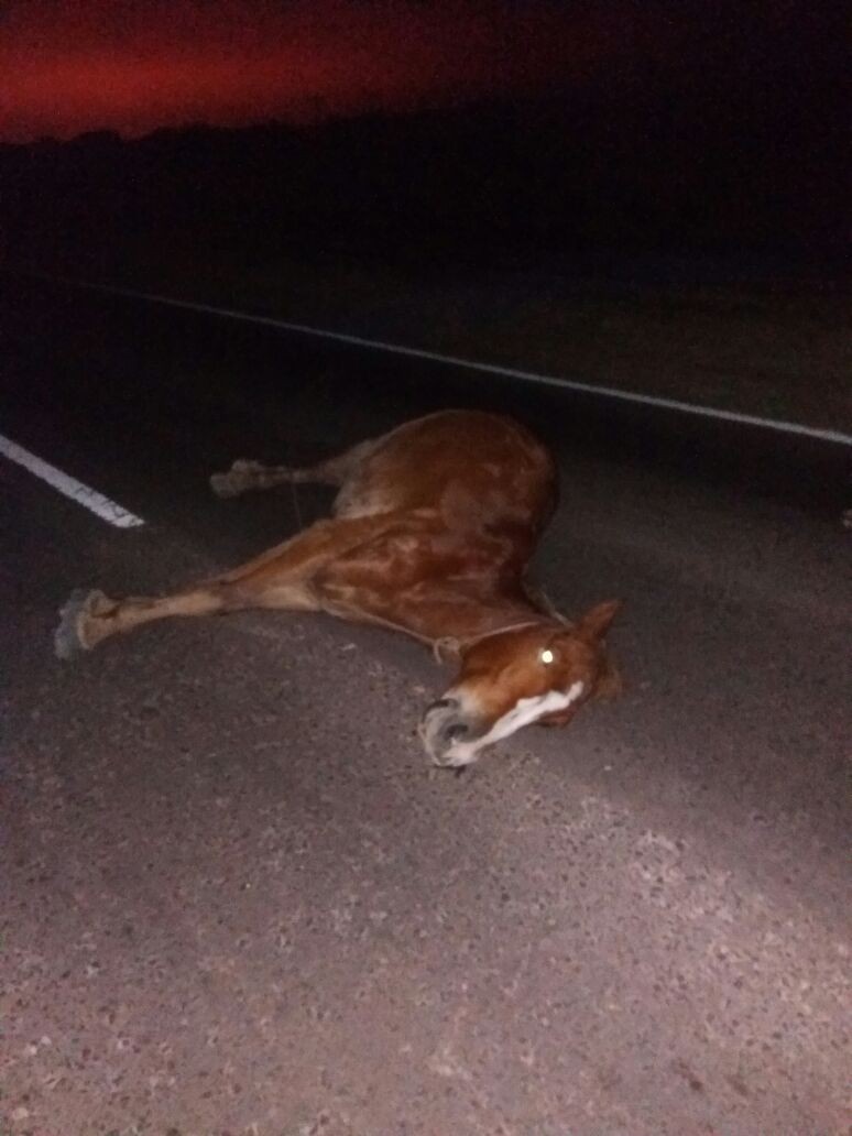 Primicia de Alerta Urbana: accidente de tránsito en Quitilipi 