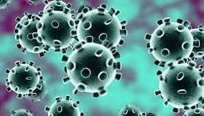 Chaco: Salud Pública actualizó el parte epidemiológico provincial