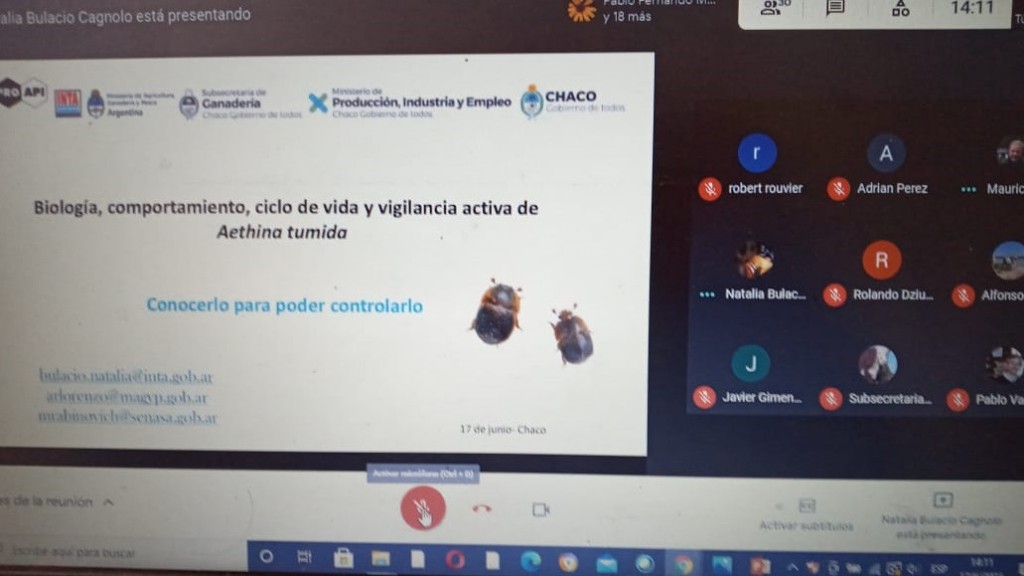 Producción apícola segura: Chaco contará con una red de monitoreo de plagas