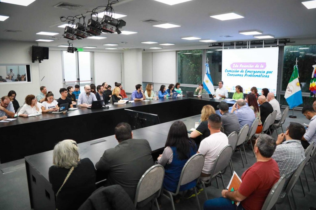 Nuevos avances en el trabajo de la comisión de emergencia por consumos problemáticos