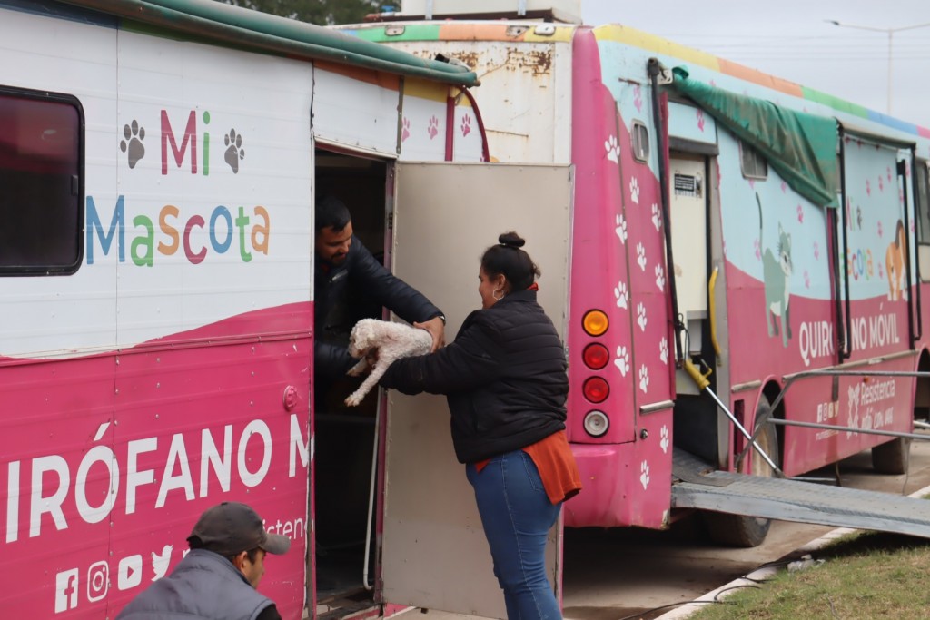 Resistencia continúa llevando su programa de castracion gratuita de mascotas a todos los barrios de la ciudad