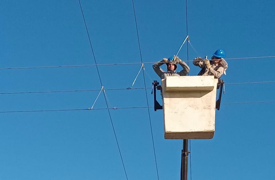 Colonia Popular: Secheep refuerza el servicio eléctrico con limpieza de líneas, asistencia técnica y apoyo local