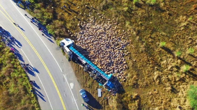 Volcó un camión con botellas de aceite y decenas de personas fueron a saquearlo