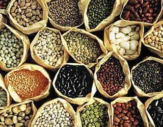 Producción destinará semillas a 2.500 pequeños productores horticolas asentados en distintos puntos de la Provincia