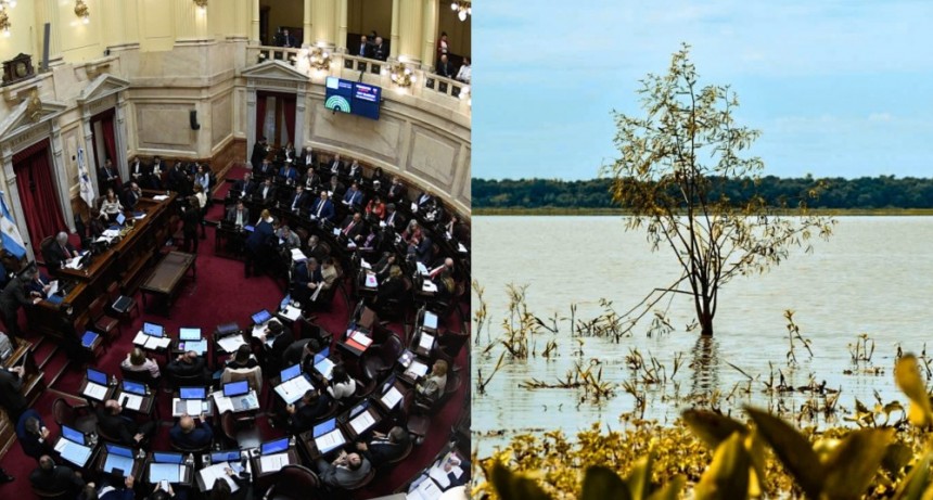 Por unanimidad, el Senado aprobó la creación del parque nacional Laguna El Palmar