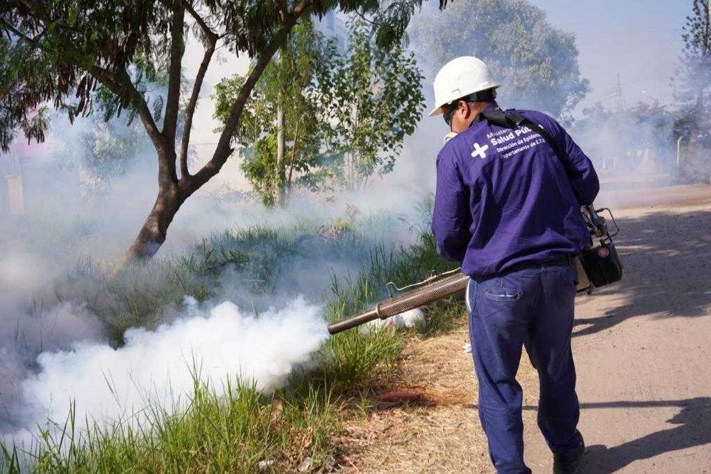 Se reportan 9.596 casos positivos de Dengue en la provincia