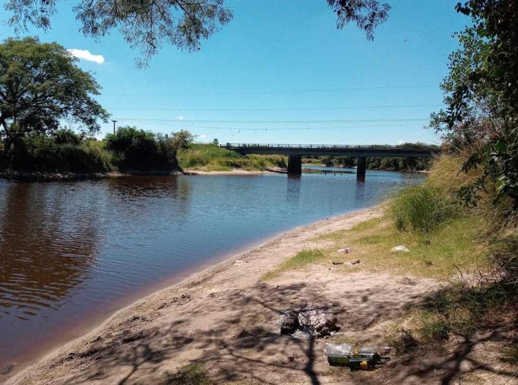 PREOCUPACI&Oacute;N POR LA MORTANDAD DE PECES EN EL RIO SALADO 