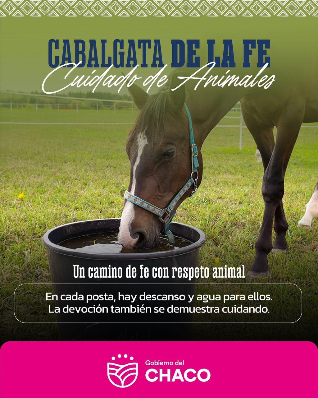 CABALGATA DE LA FE 2026: EL GOBIERNO DEL CHACO REFUERZA EL PLAN DE BIENESTAR ANIMAL PARA PROTEGER A LOS CABALLOS DURANTE LA PEREGRINACI&Oacute;N
