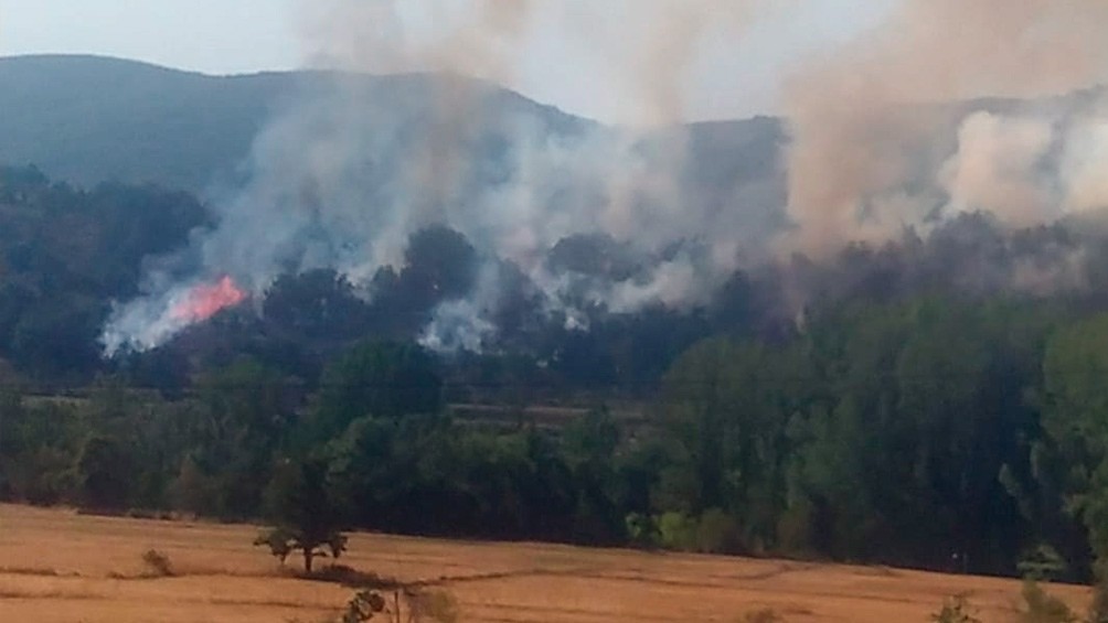 España: se registró una temperatura récord de 47,4 grados y hay alerta por los incendios