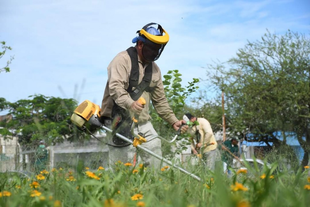 Saneamiento ambiental: el equipo hábitat intensifica los trabajos en distintos puntos del gran Resistencia