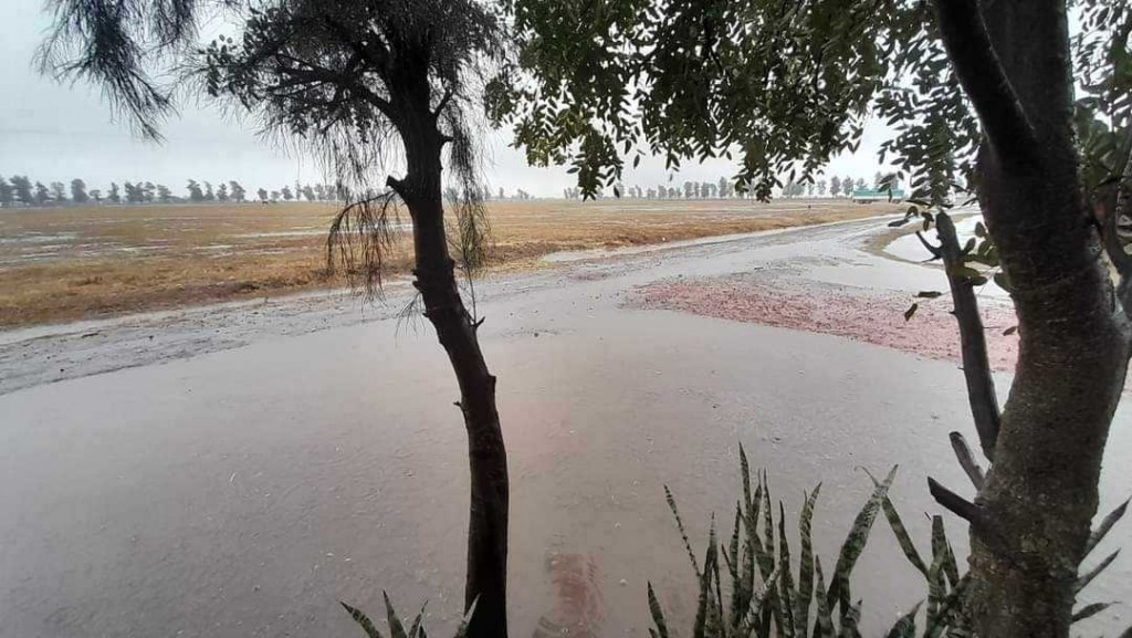 Chorotis y Santa Sylvina fueron las localidades donde más llovió