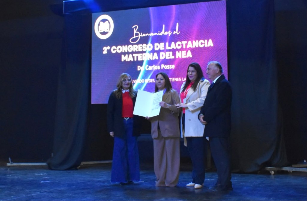 &rdquo;CONSTRUIR REDES QUE SOSTIENEN VIDA&rdquo;: CHACO REUNI&Oacute; A ESPECIALISTAS PARA PROMOVER Y PROTEGER LA LACTANCIA