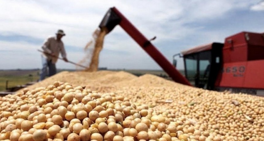  Las ventas diarias de soja continúan por encima del millón de toneladas, impulsadas por el 