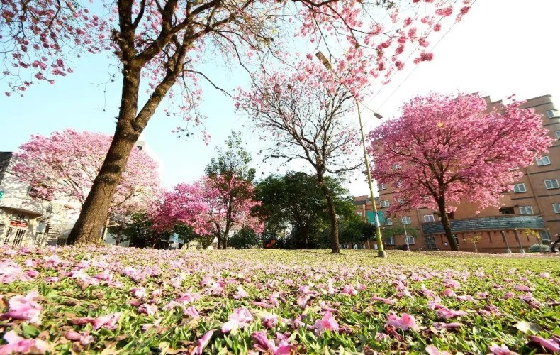 Resistencia: Tendremos una primavera con poca precipitación y altas temperaturas