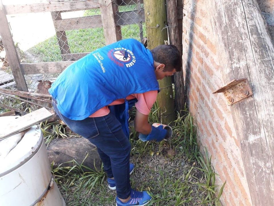 Dengue: Tras las lluvias, Salud recuerda extremar las pedidas preventivas en los hogares