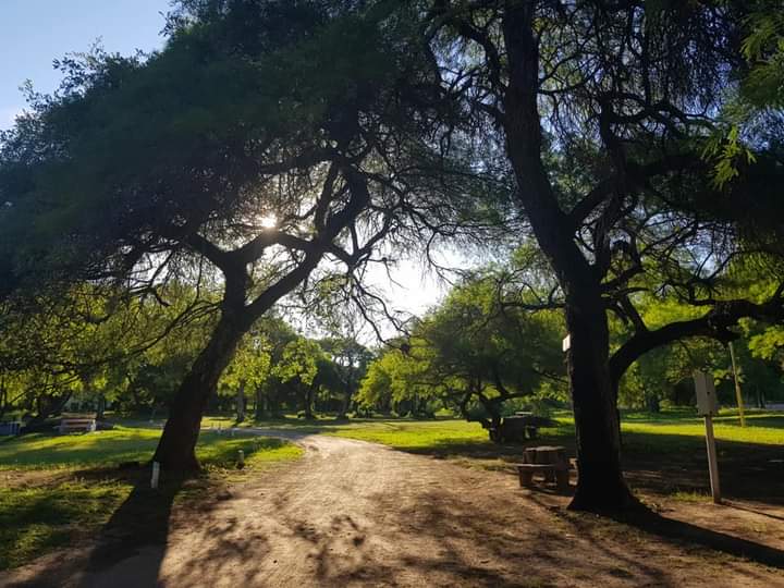 Viernes con mucho sol, 33 grados de temperatura máxima