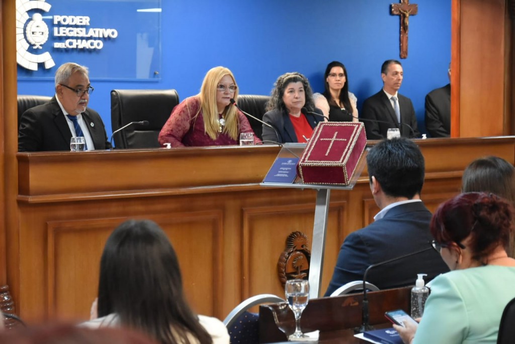 Carmen Delgado presidirá la Legislatura con Charole y Bacileff en las Vicepresidencias