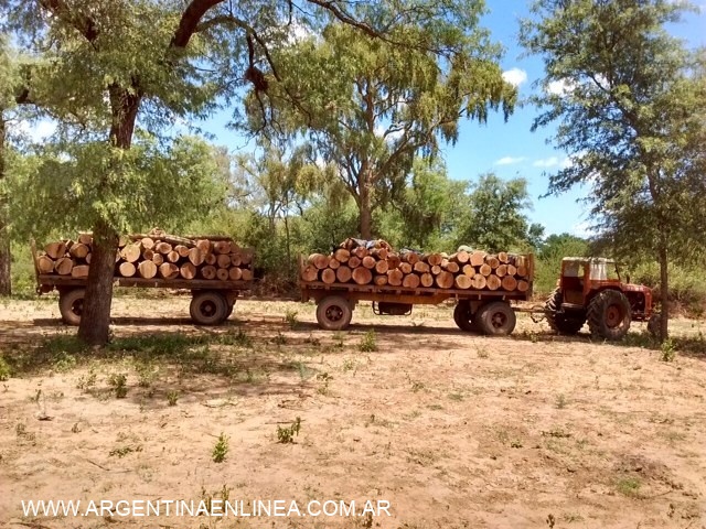 EXITOSO OPERATIVO DE FISCALIZACIÓN DE RECURSOS NATURALES EN EL LÍMITE CON SANTIAGO DEL ESTERO