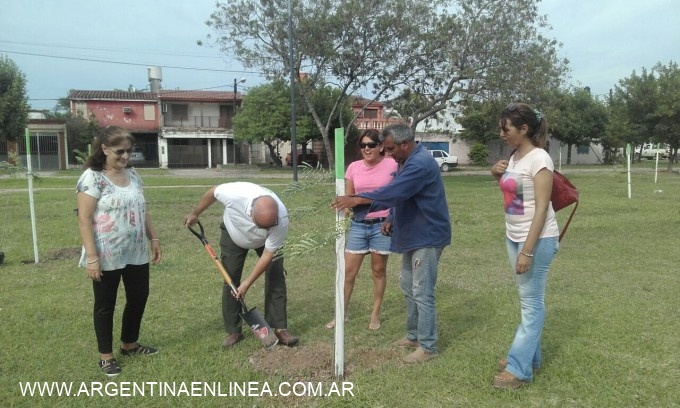 Arbolado urbano: Municipio y vecinos plantaron chivatos en la plaza 1 de Octubre